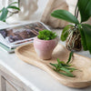 Asymmetric Stoneware Planter