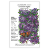 Alyssum Sweet Oriental Nights Seed Pkt