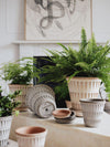 Pantheon (Pot and saucer)