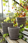 Julie (Pot and Saucer)