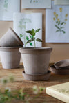 Flora (Pot and Saucer)
