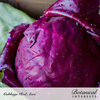 Cabbage Red Acre Org Seed Pkt
