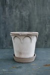 Elizabeth (Pot and Saucer)