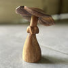 Suar Wood Mushrooms