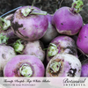 Turnip Purple Top White Globe Org Seed Pkt