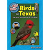 Kid's Guide to Birds of Texas