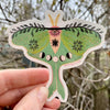 Dream Folk Stickers