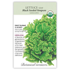 Lettuce Black Seeded Simpson Org Pkt