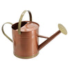 Classic Watering Can 2.6 Gal
