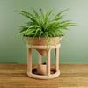 Odyssey Planter
