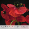 Poppy Corn American Legion Seed Pkt