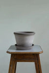 Parade (Pot and Saucer)