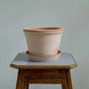 Parade (Pot and Saucer)
