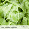 Lettuce Butterhead Buttercrunch Org Seed Pkt
