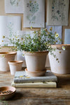 Flora (Pot and Saucer)