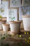 Flora (Pot and Saucer)