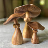 Suar Wood Mushrooms
