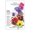 Pansy Swiss Giant Blend Seed Pkt