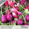 Radish Easter Egg Blend Org Seed Pkt