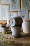 Flora (Pot and Saucer)