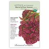 Lettuce Butterhead Marvel of the Four Seasons Org Seed Pkt