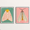Moth Print Set