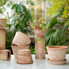 Parade (Pot and Saucer)