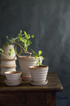 Planets (Pot and Saucer)