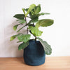 Large Amsha Basket