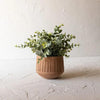 Xavier Routed Planter