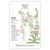 Gaura White Seed Pkt
