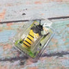 Clockwork Crawling Bugs
