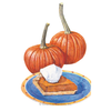 Pumpkin Sugar Pie Org Seeds Pkt