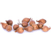 Bagged Dutch Iris Bulbs