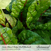 Swiss Chard Ruby Red Org Seed Pkt