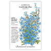 Lobelia Cambridge Blue Seed Pkt