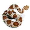 Toy Animal Figurine