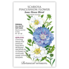 Scabiosa Isaac House Blend Seed Pkt