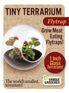 Tiny Terrarium Carnivorous Plants