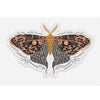 Golden Moth Vinyl Sticker