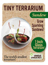 Tiny Terrarium Carnivorous Plants