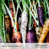 Carrot Carnival Blend Org Seed Pkt